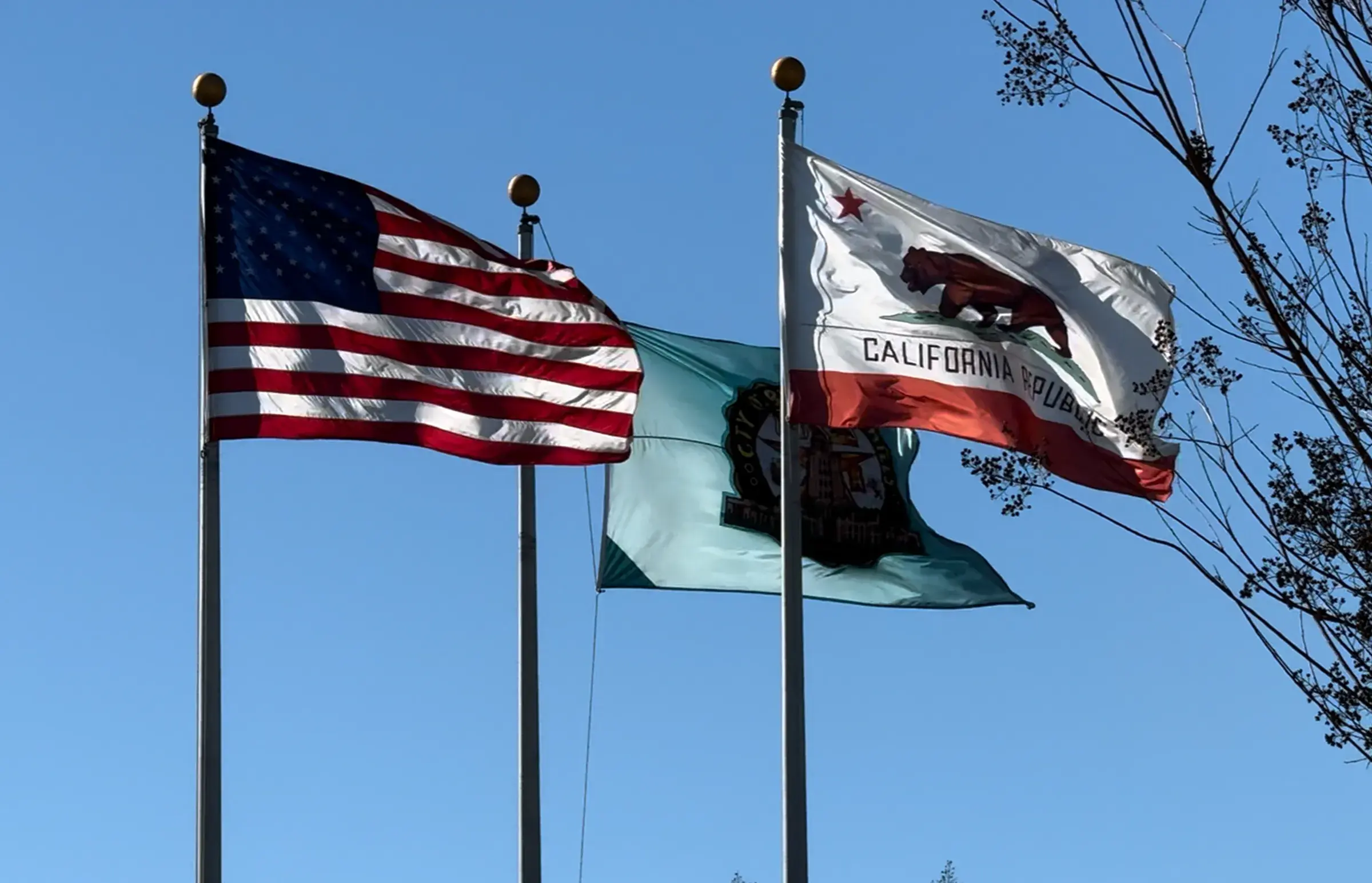 BHUSD faces flag controversy