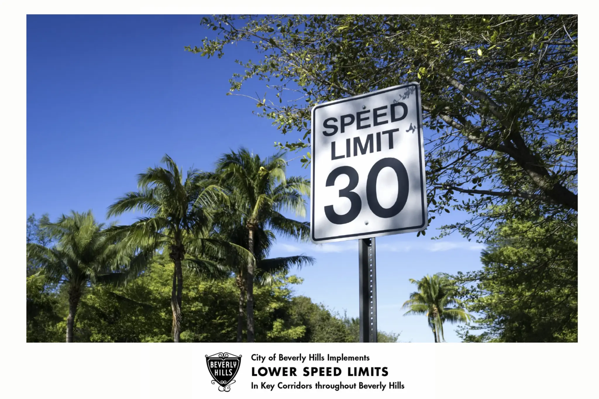 City of Beverly Hills graphic featuring a 30 mph speed limit sign, palm trees and an announcement of lower speed limits.