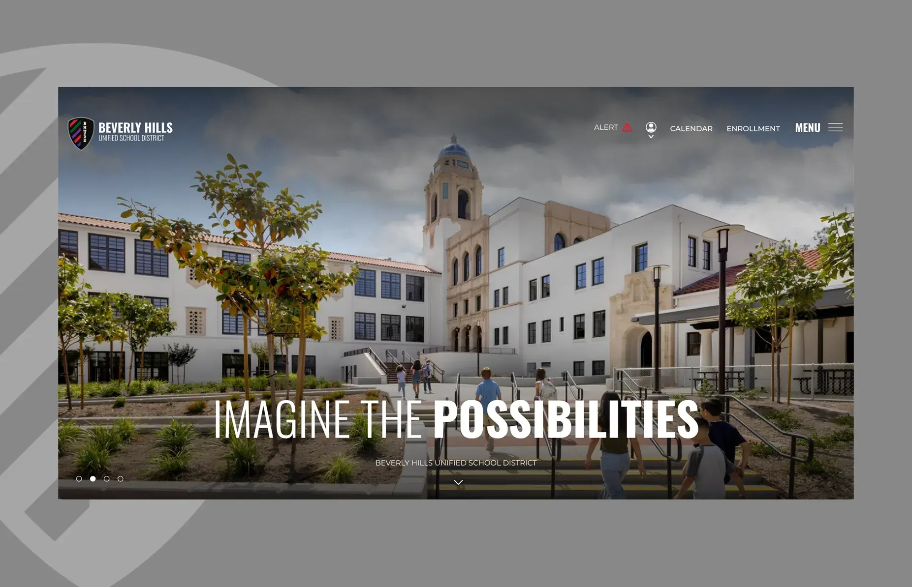 Newly Unveiled BHUSD Website