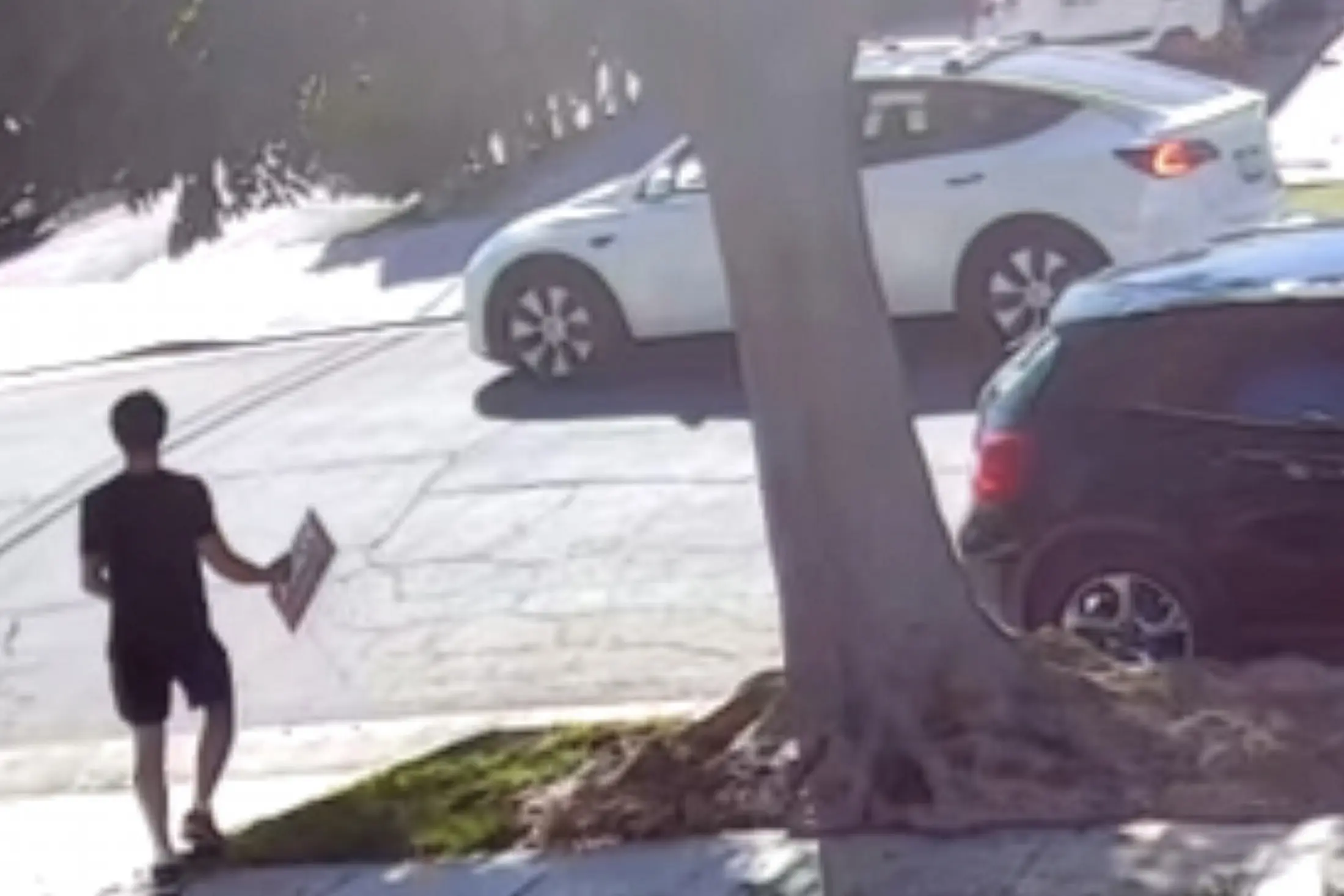 BHUSD Campaign Signs Reported Stolen From Beverly Hills Lawns