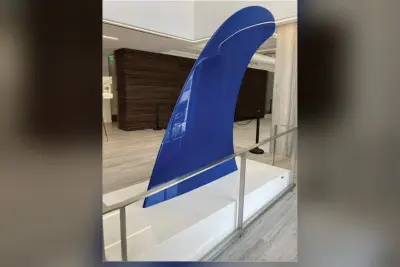 Council Clears Removal of Alex Israel's Fin After $250,000 Payment